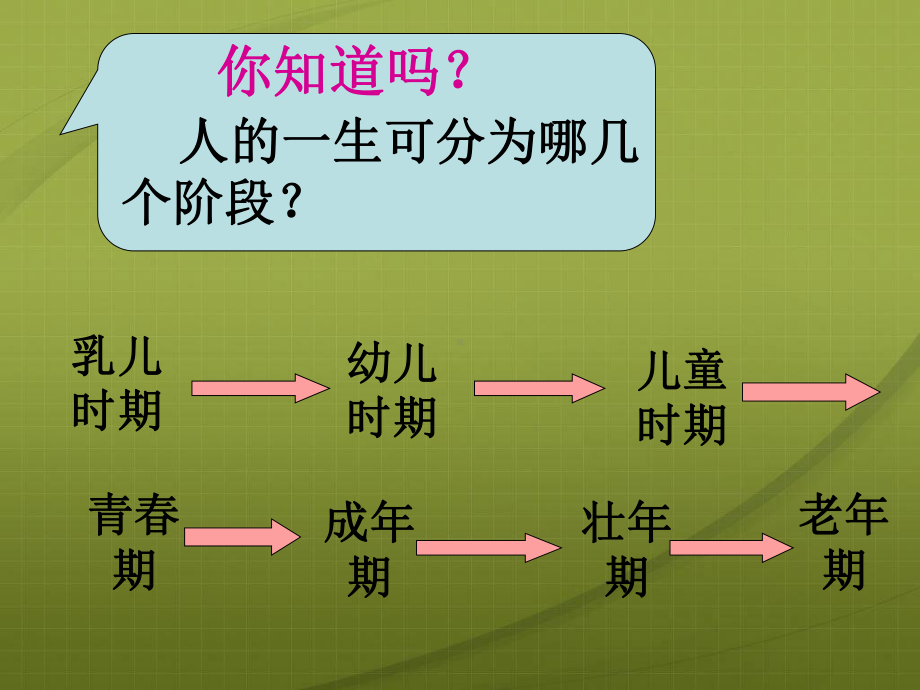 主题班会青春期主题班会课件.ppt_第2页