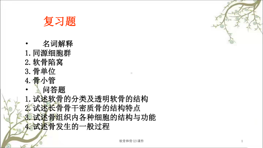 软骨和骨课件2.ppt_第1页