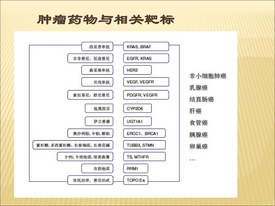 肿瘤分子诊断课件.ppt_第3页