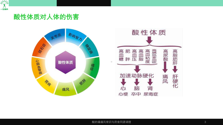 酸的痛痛风常识与药食同源调理课件.pptx_第3页