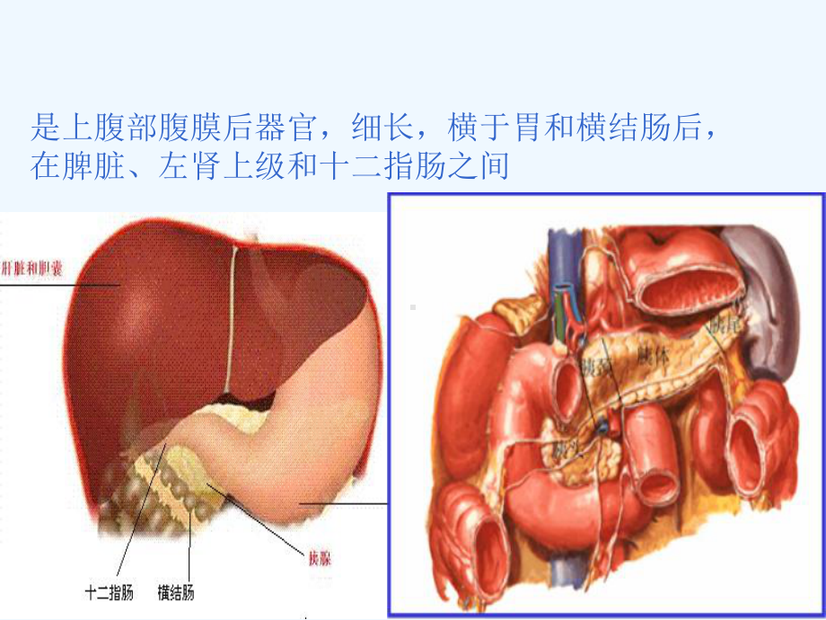 读书报告急性胰腺炎课件.ppt_第3页