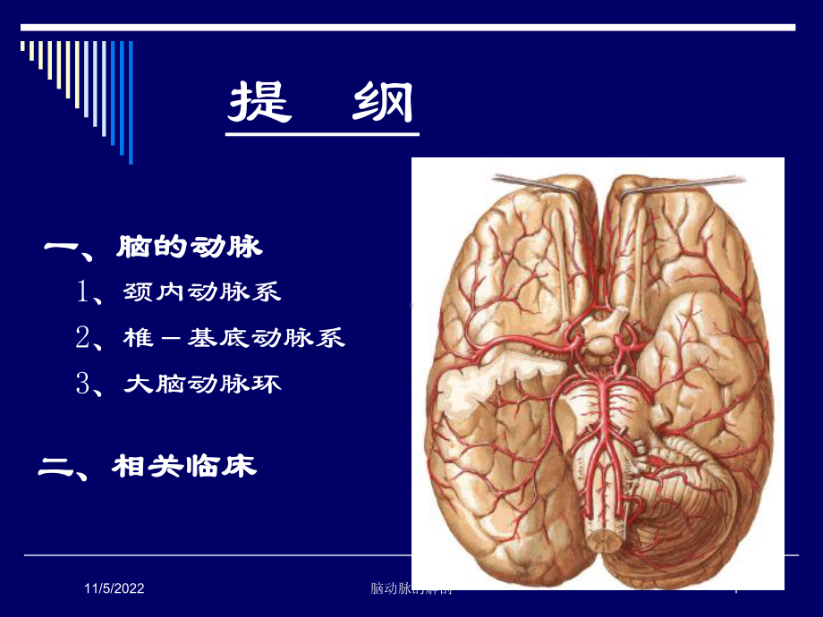 脑动脉的解剖培训课件.ppt_第1页