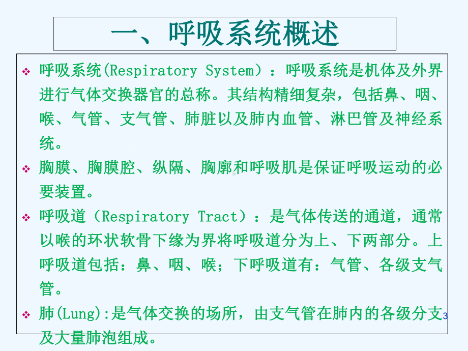 药源性呼吸系统疾病课件.ppt_第3页