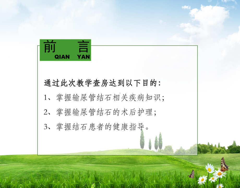 输尿管钬激光碎石术教学查房课件.ppt_第2页