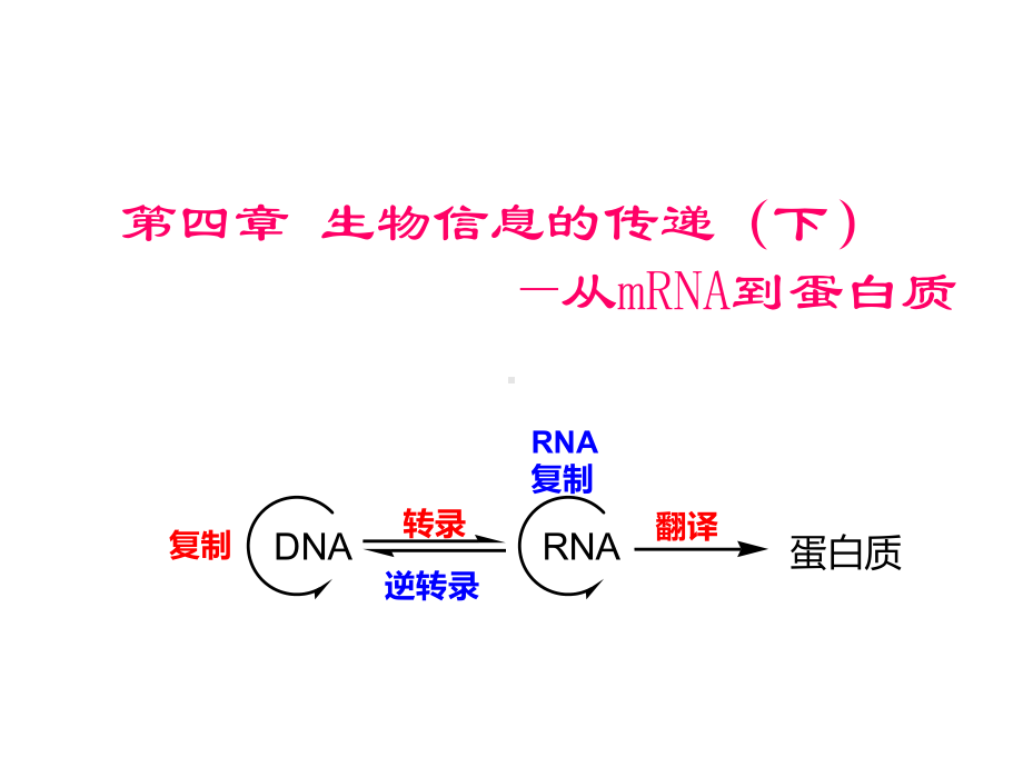 生物信息的传递(下)-翻译-PowerPoint课件.ppt_第1页