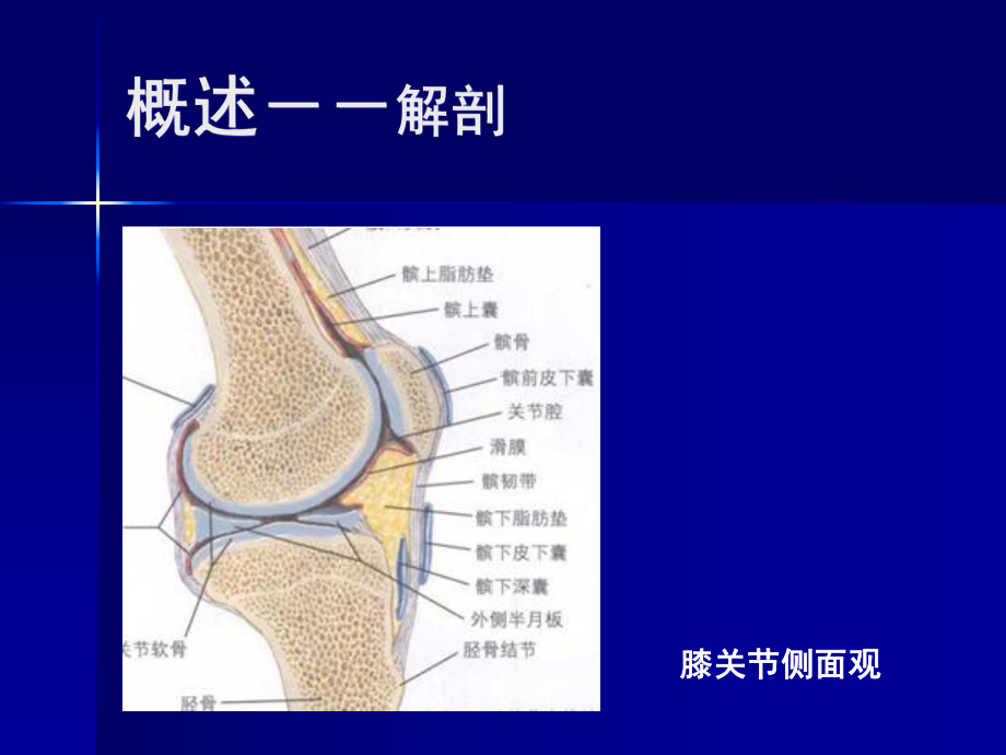 膝关节滑膜炎的诊断与治疗课件.ppt_第2页