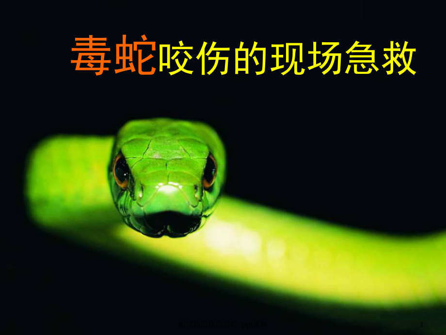 蛇咬伤的现场急救-课件.ppt_第1页