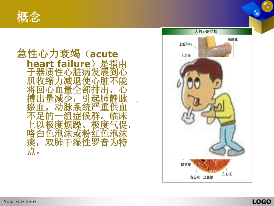 急性左心衰的护理查房完整版本课件.ppt_第3页