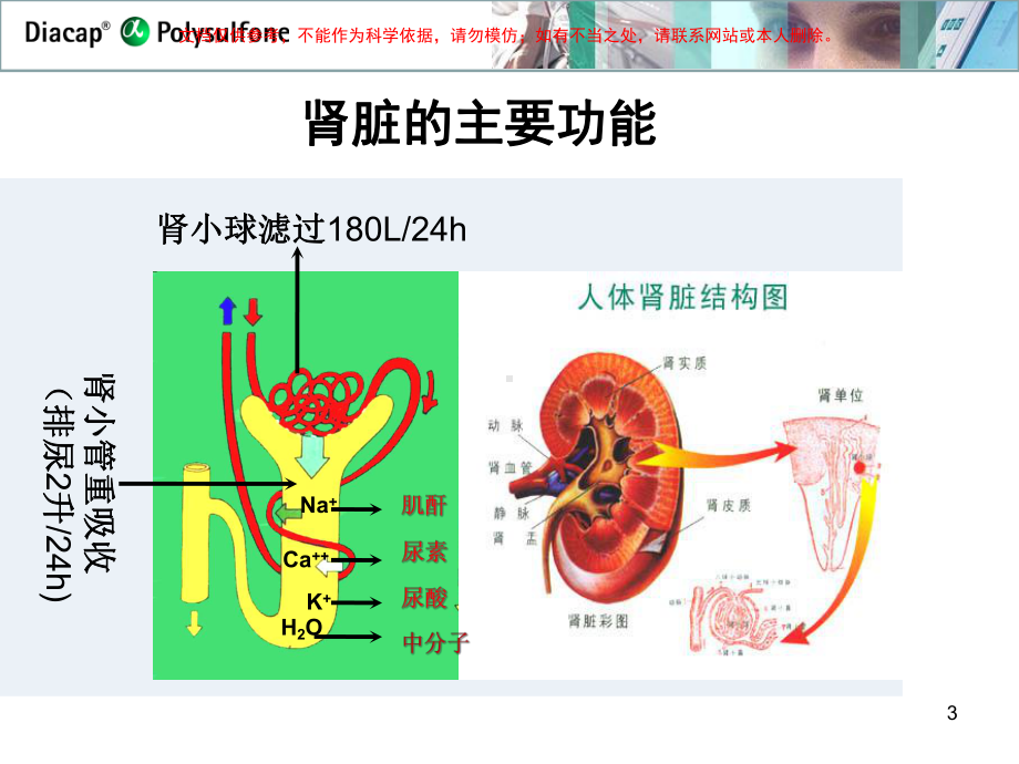 血液净化原理肾病课件.ppt_第3页