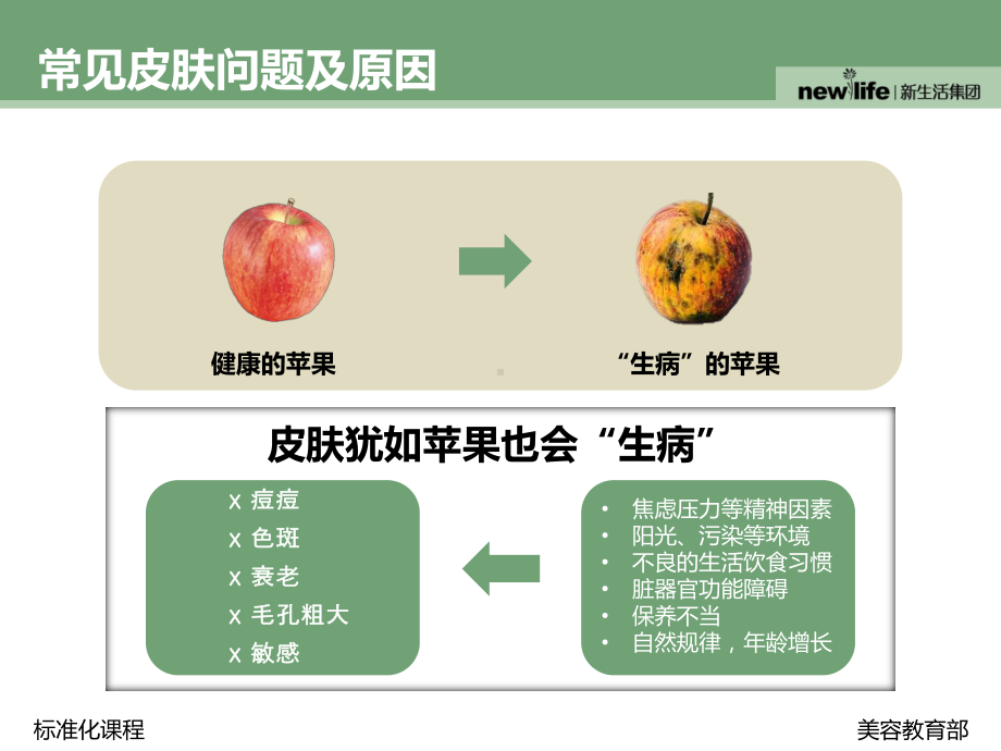 问题性皮肤医疗护理培训课件.ppt_第3页