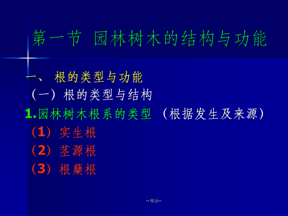 树木生长规律课件.ppt_第3页