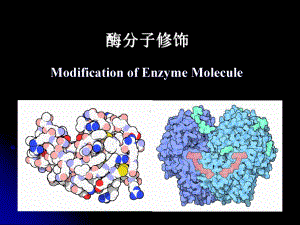 酶工程-第九章-酶分子修饰课件.ppt