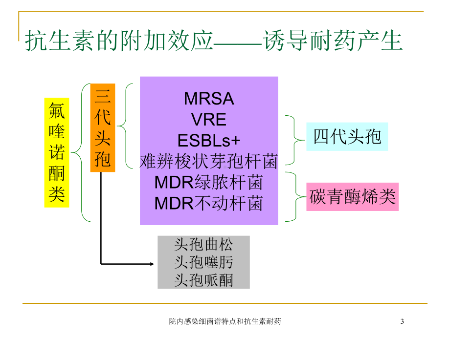 院内感染细菌谱特点和抗生素耐药培训课件.ppt_第3页