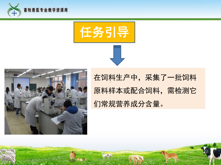 子任务5饲料中粗蛋白的测定课件.ppt_第2页