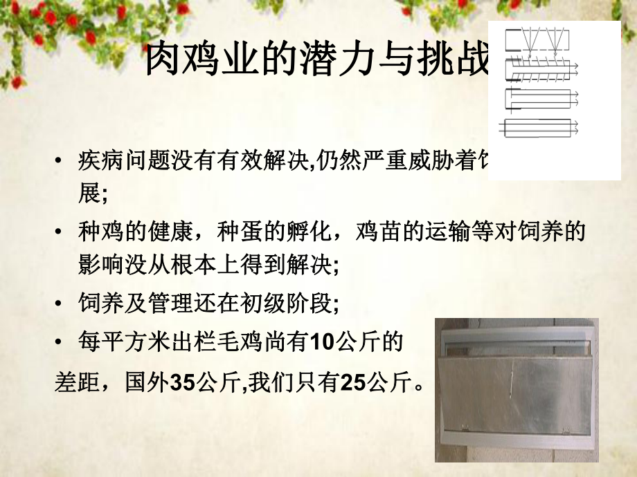 标准化鸡舍的饲养管理及环境控制培训课件(-111张).ppt_第2页