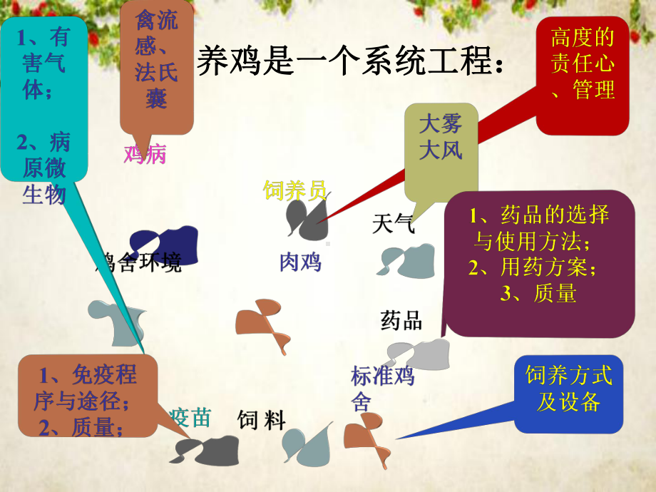 标准化鸡舍的饲养管理及环境控制培训课件(-111张).ppt_第3页