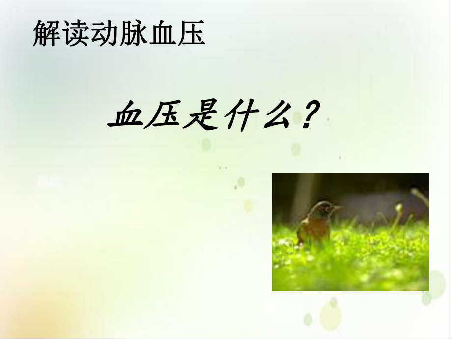 解读动脉血压培训课程课件.ppt_第2页