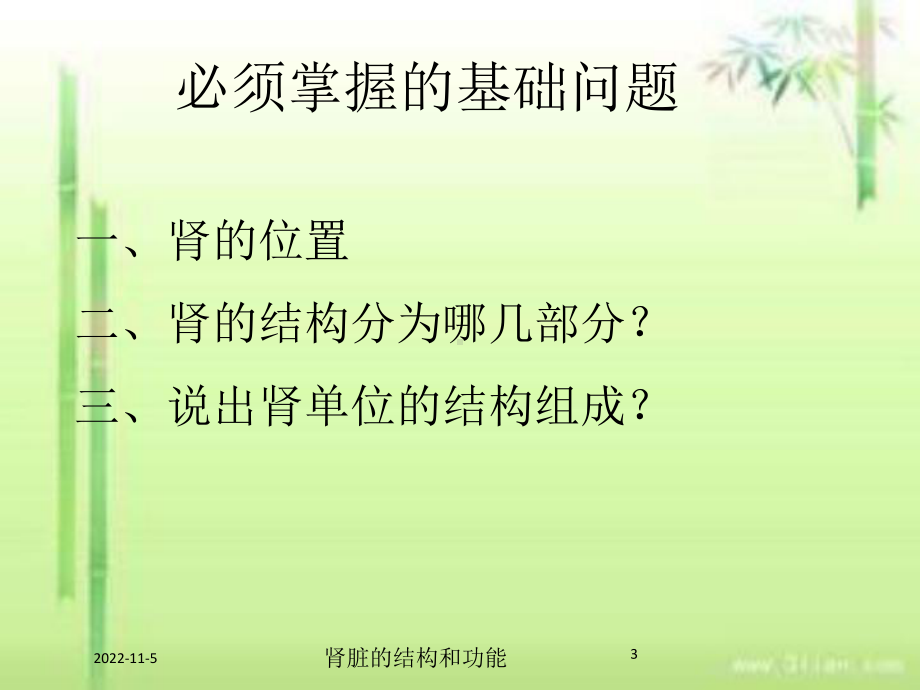 肾脏的结构和功能培训课件.ppt_第3页