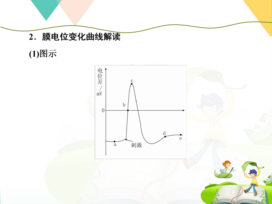 通过神经系统的调节模板课件.pptx_第2页