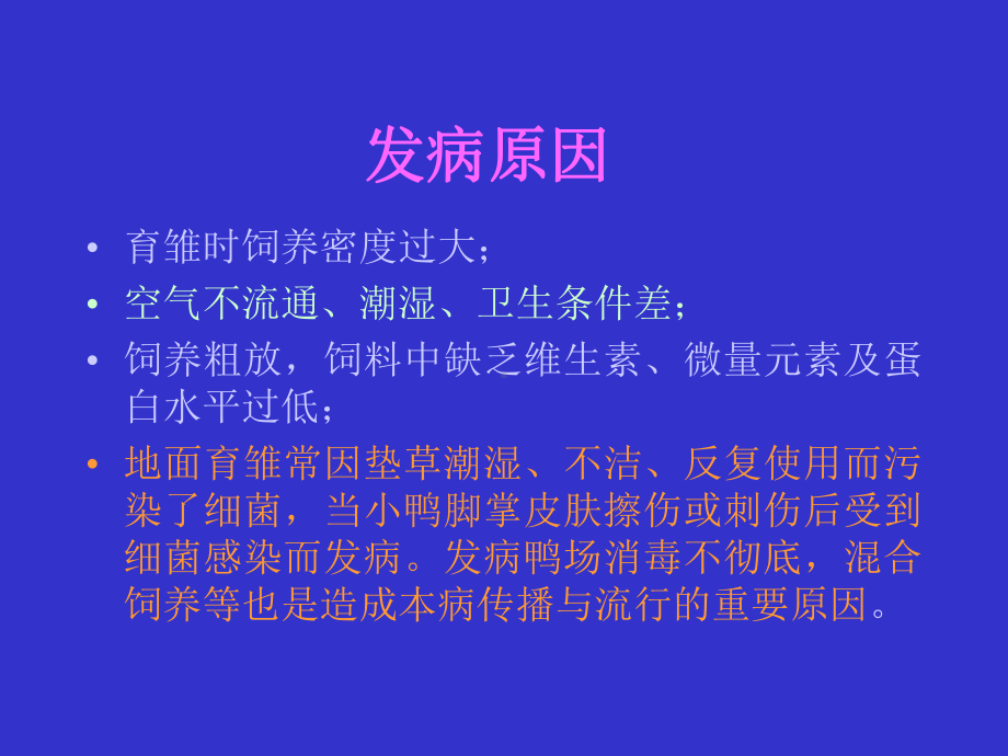 当前规模化养鸭场常见疫病-课件.ppt_第3页