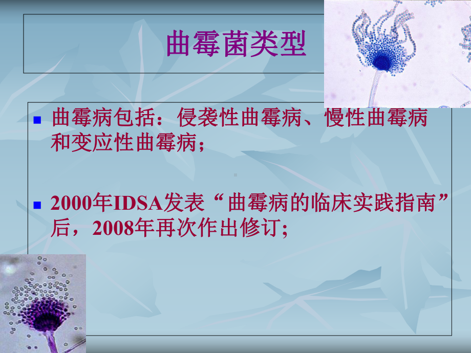 曲霉病的临床研究进展课件.ppt_第2页