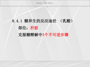 葡萄糖异生医学宣教课件.ppt