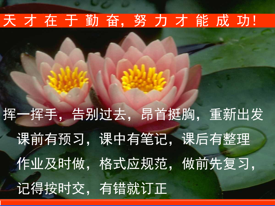 人教《集合的概念》完美版课件.ppt_第1页