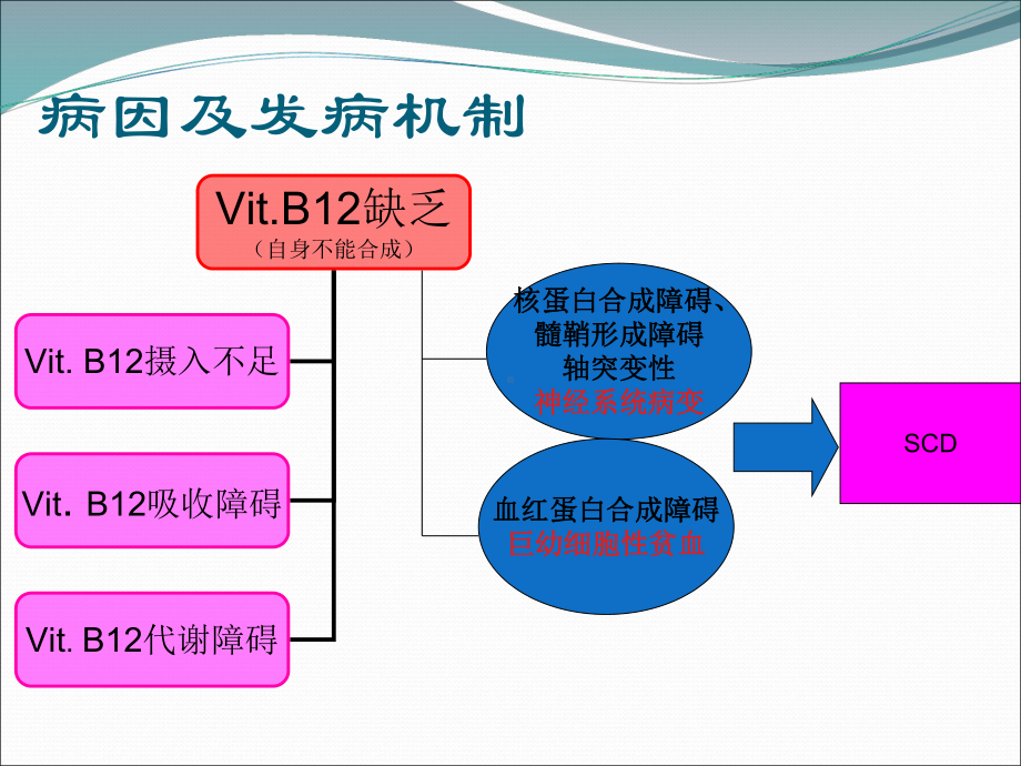 脊髓亚急性联合变性素材课件.ppt_第3页