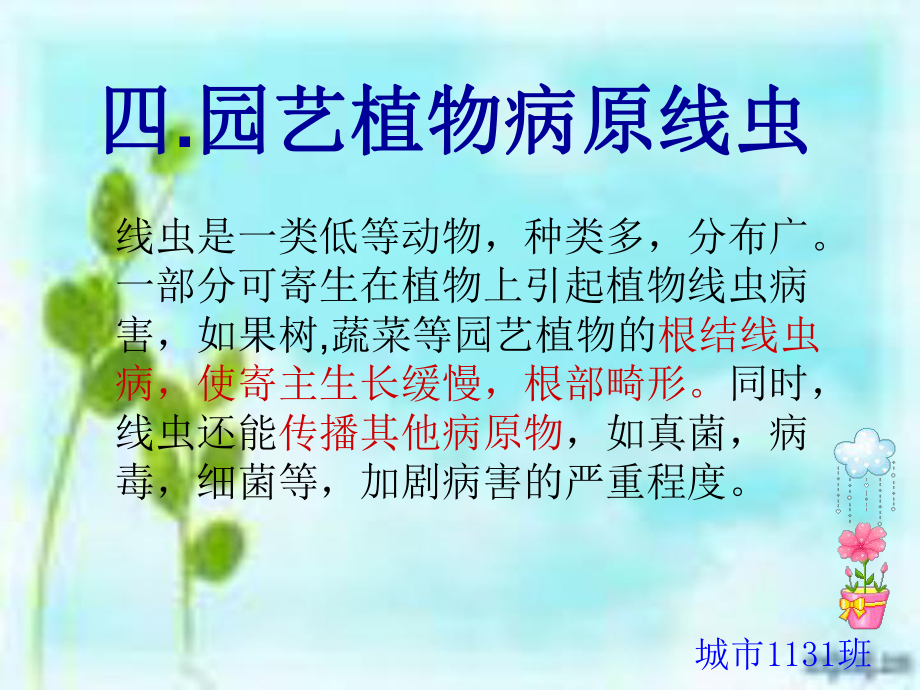 植物病原线虫及寄生性植物课件.ppt_第2页