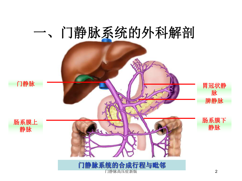 门静脉高压症新版培训课件.ppt_第2页