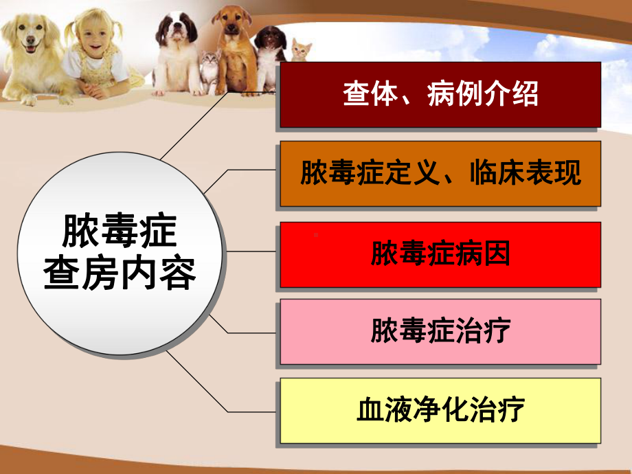 脓毒症护理查房教学课件.pptx_第3页