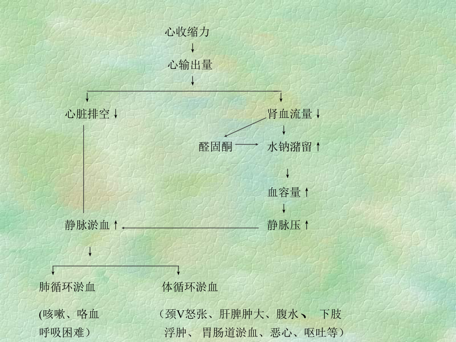 抗慢性心功能不全药-2汇编课件.ppt_第2页