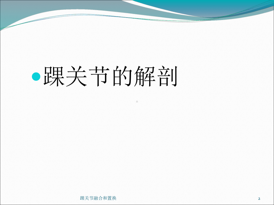 踝关节融合和置换培训课件.ppt_第2页