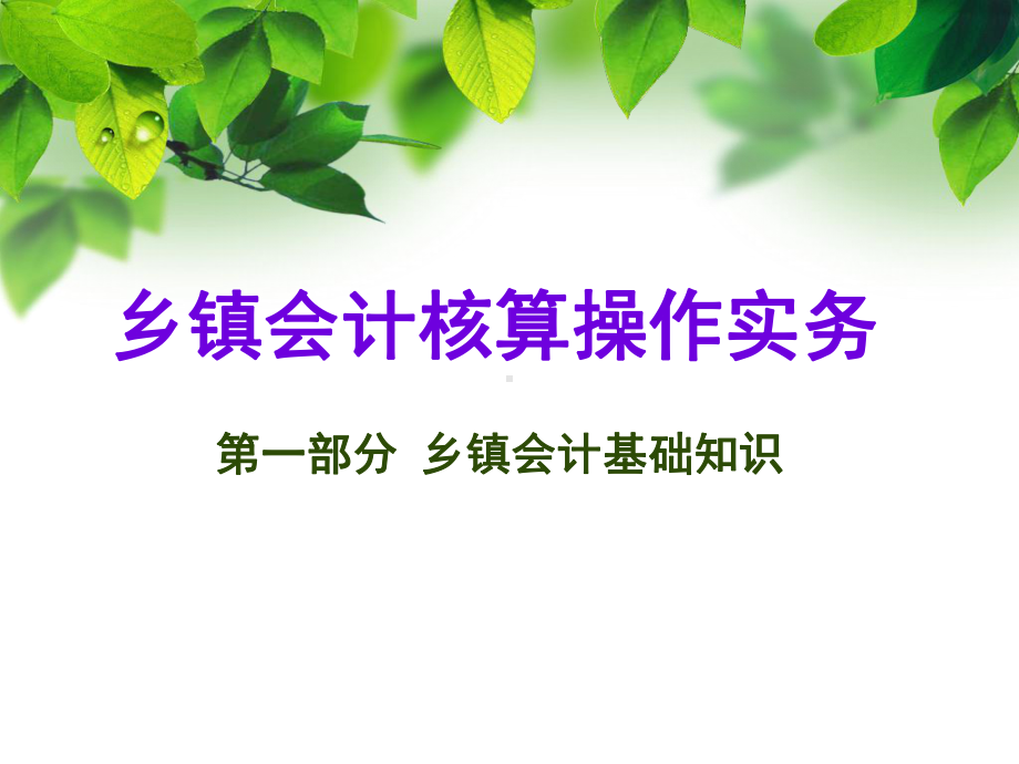 乡镇会计核算操作实务全基础规范课件.ppt_第1页