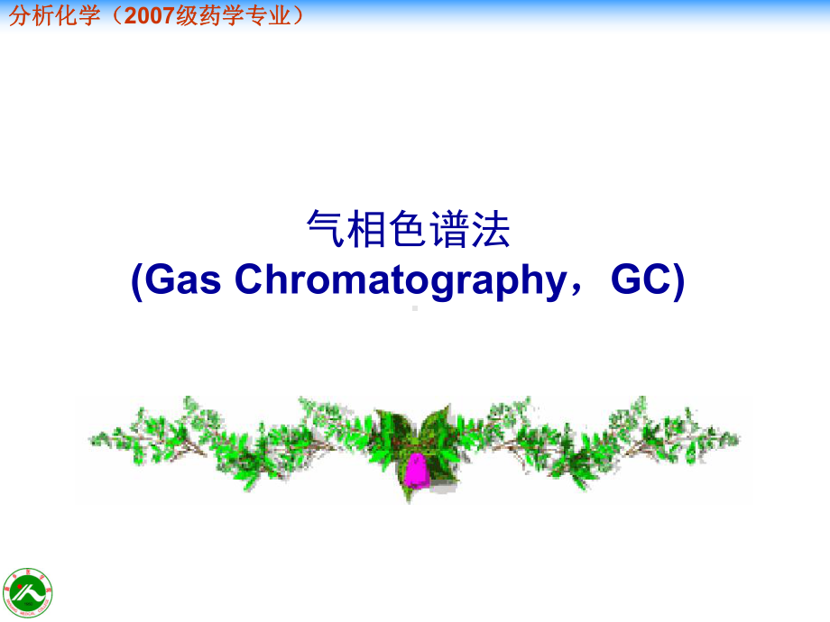 气相色谱法汇总课件.ppt_第3页