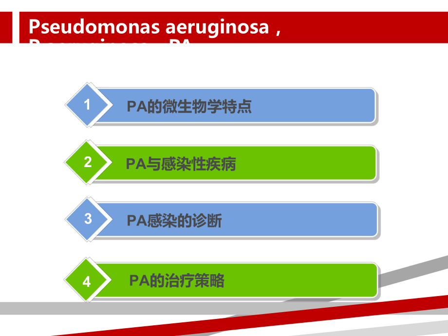 铜绿假单胞感染治疗策略课件.ppt_第3页