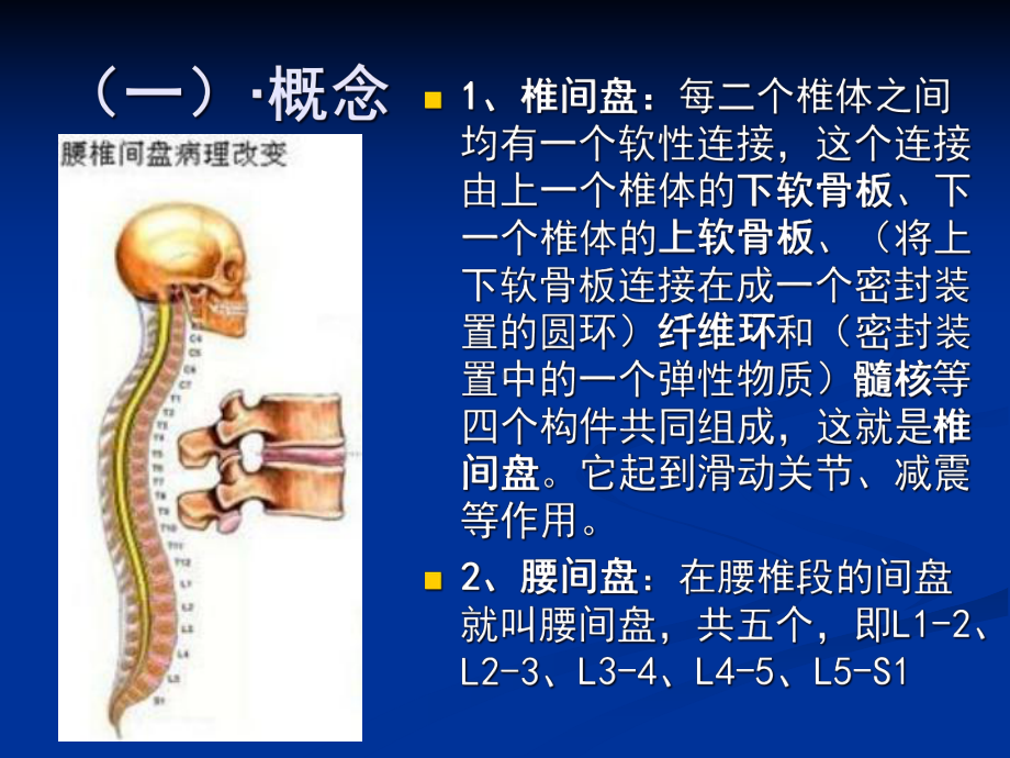 腰间盘突出症的康复治疗主题讲座课件.ppt_第2页