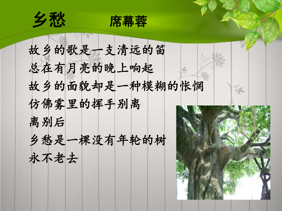 故乡的榕树课件解析.ppt_第2页