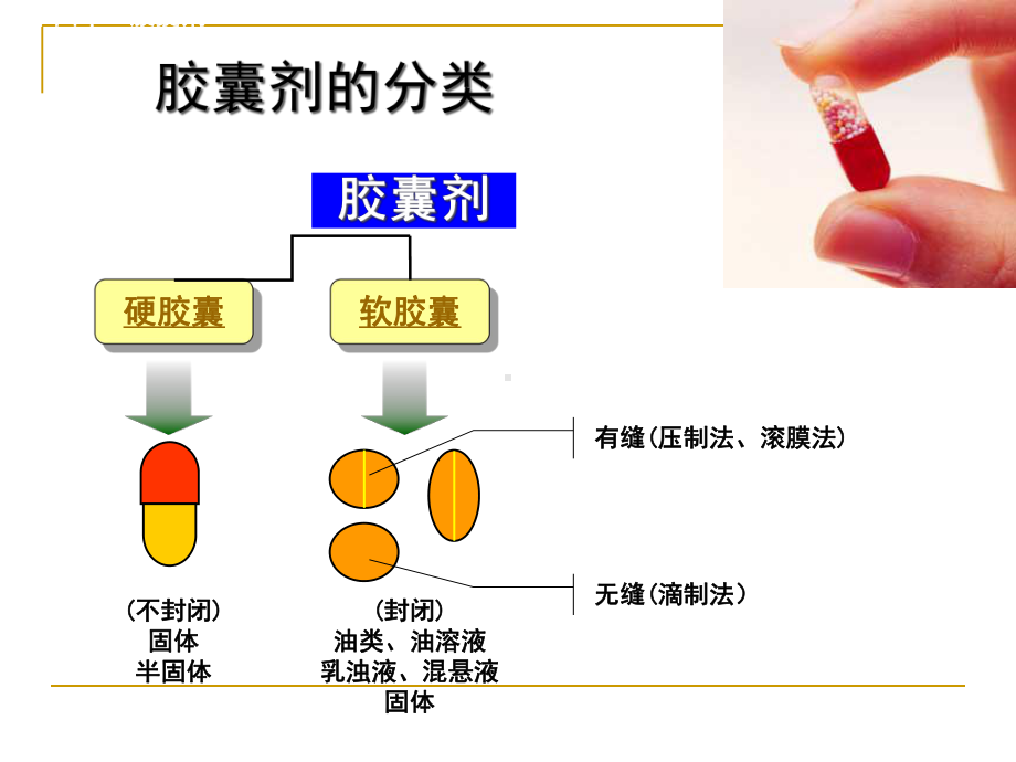 第七章固体制剂设备-胶囊剂生产设备课件.ppt_第3页