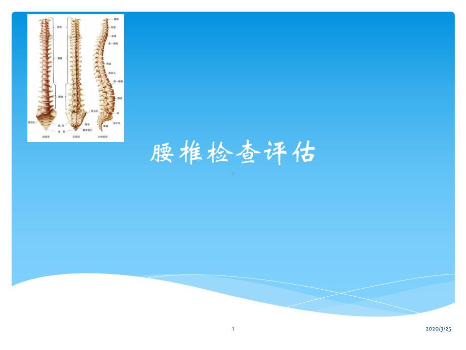 腰椎检查评估(课堂)课件.pptx_第1页