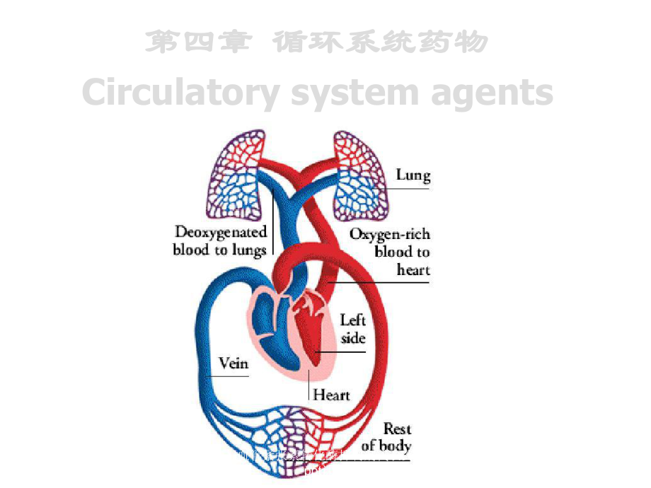 血管紧张素转化酶抑制剂代表药-课件.ppt_第1页