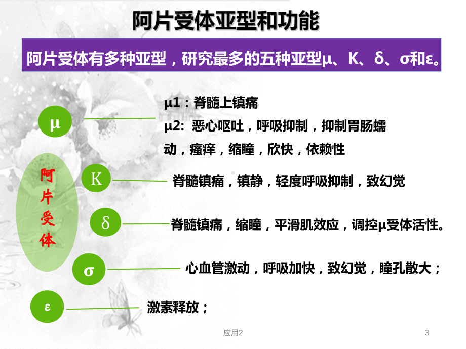 阿片受体激动拮抗剂-阿片受体激动拮抗剂围术期应用(专业医学)课件.ppt_第3页