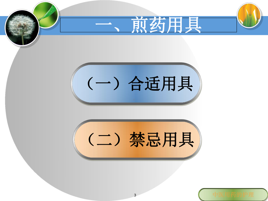 中医护理学基础中医用药护理课件.ppt_第3页