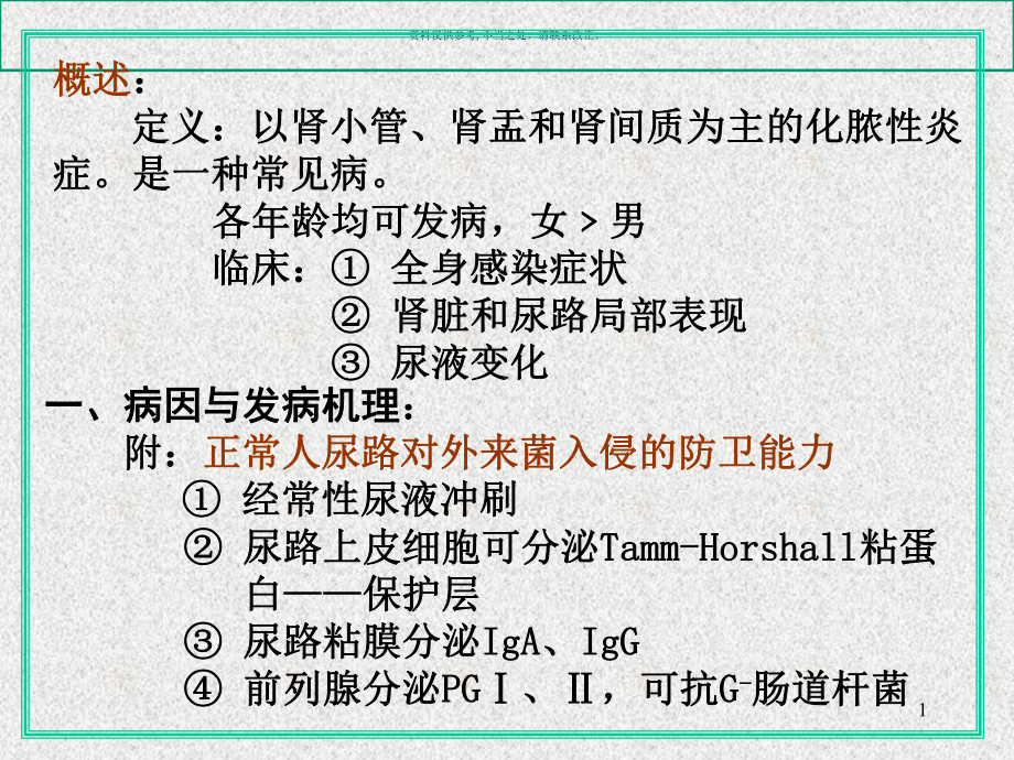 肾盂肾炎医学宣教课件.ppt_第1页