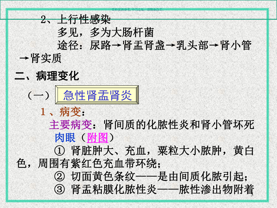 肾盂肾炎医学宣教课件.ppt_第3页