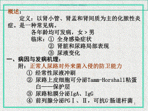 肾盂肾炎医学宣教课件.ppt