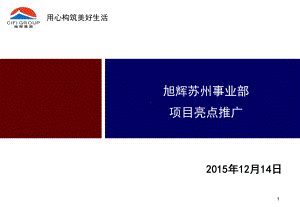 项目亮点总结课件.ppt