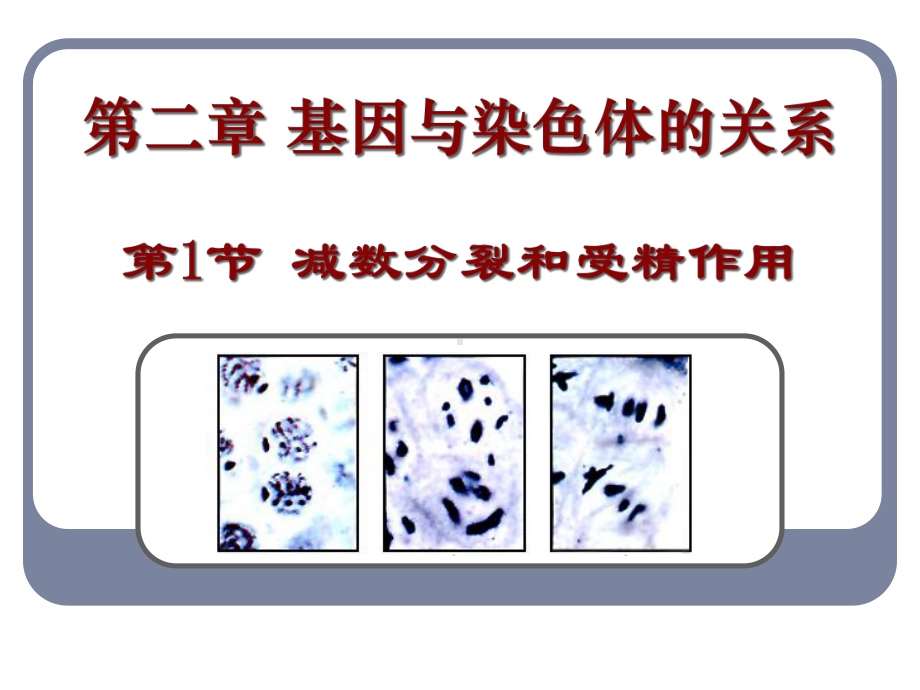 必修2第2章第1节减数分裂和受精作用课件.ppt_第1页