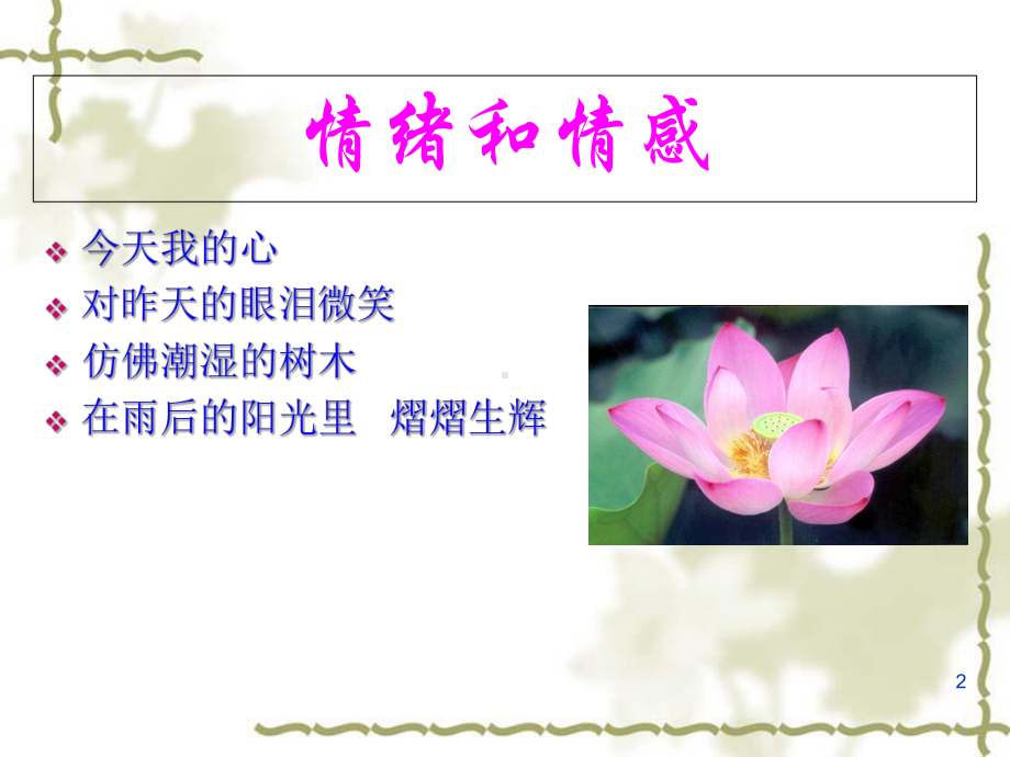 情绪和情感课件.ppt_第2页