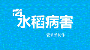 水稻常见病害简介共44张课件.pptx